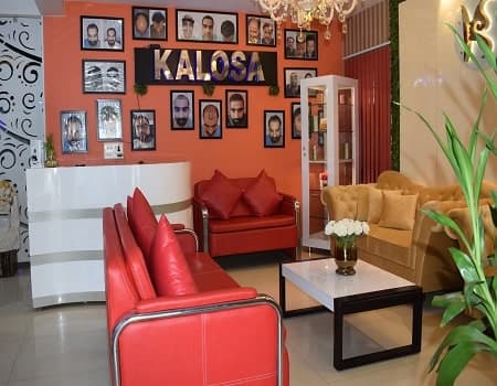 Kalosa Hair Transplant, Cosmetic and Gynae Clinic