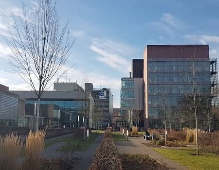 University Hospital Frankfurt am Main